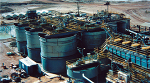 尾礦再選：如何從鉬礦浮選尾礦中回收鎢礦？